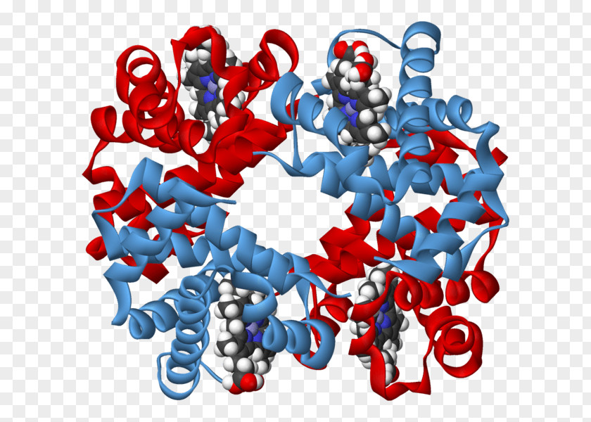 Beta Ribbon Biochemistry Carbohydrate Polysaccharide Protein Lipid PNG