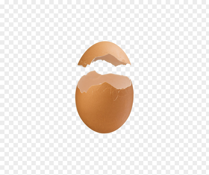 Egg Shell Chicken Eggshell Computer File PNG