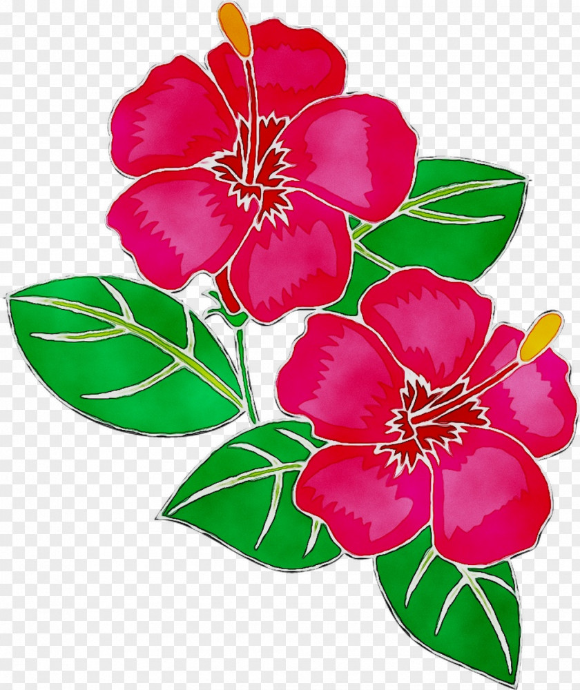 Floral Design Mallows Cut Flowers PNG