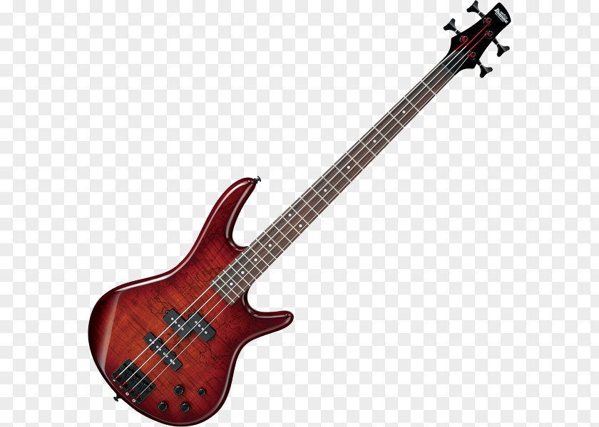 Bass Guitar Ibanez String Instruments Musical PNG