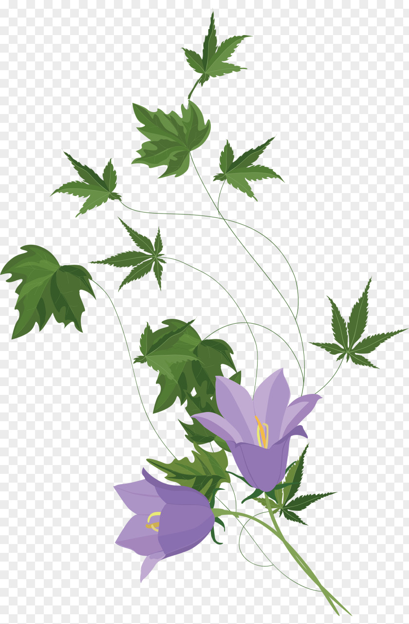 Beautiful Flowers Flower File Format JPEG Plant Stem PNG