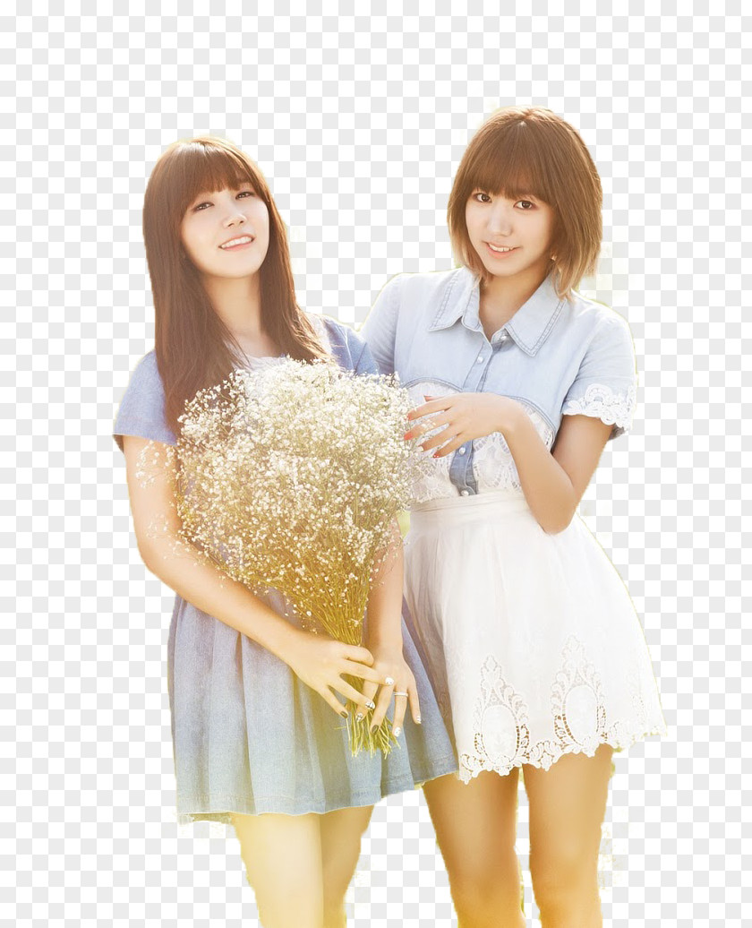 Jung Eun-ji Kim Nam-joo Apink Secret Garden PNG