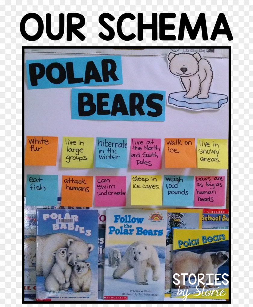 Polar Bear How Do Bears Stay Warm? Homework Classroom PNG