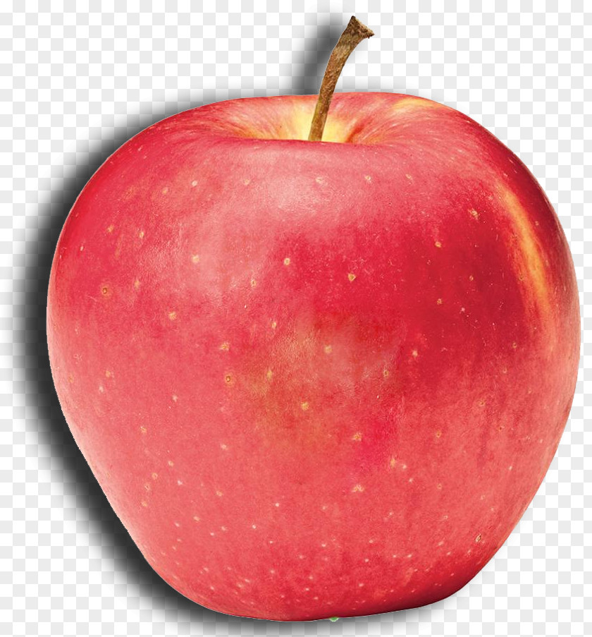 Apple McIntosh Azienda Agricola Galassa Cripps Pink Red PNG