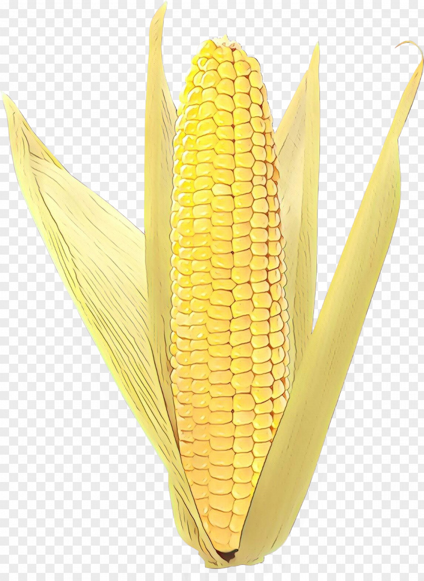 Corn On The Cob Product Design PNG