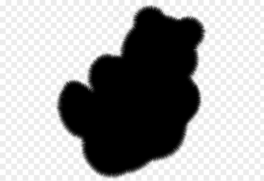 Dog Bear Canidae Mammal Fur PNG