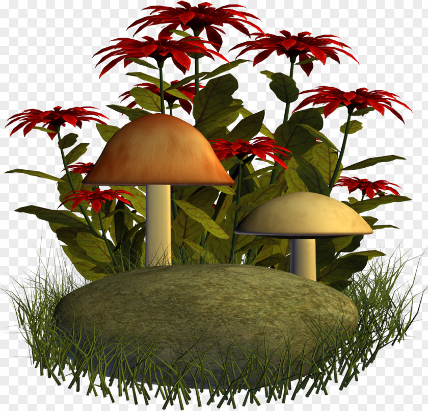 Mother's Day Fungus Mushroom Amanita Muscaria Holiday PNG