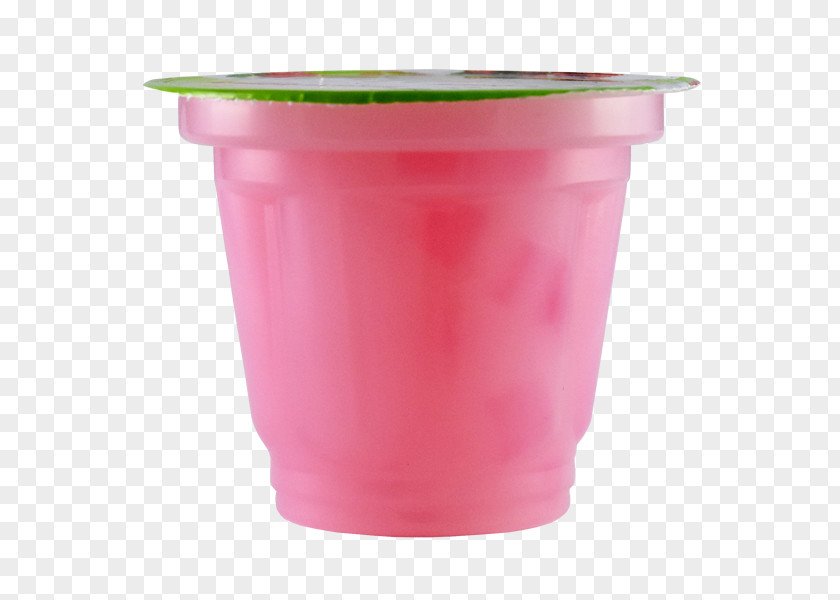 Nata De Coco Beer Pong Paper Cup Beaker Plastic PNG