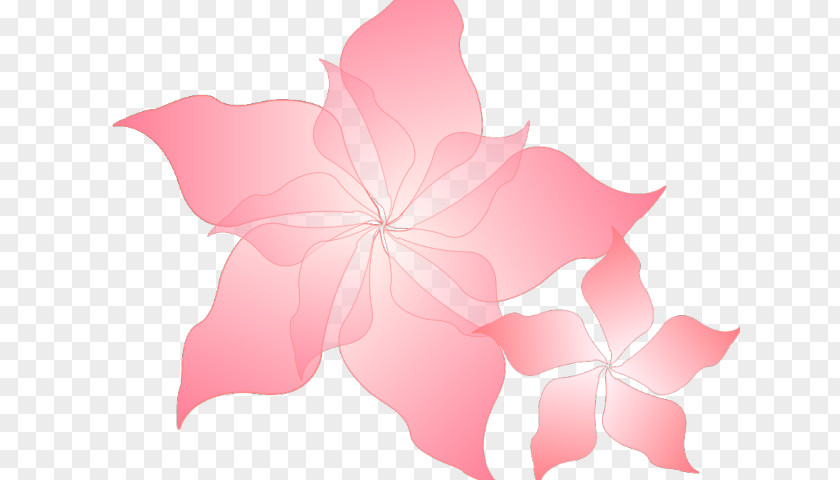 Perennial Plant Magenta Pink Flower Cartoon PNG