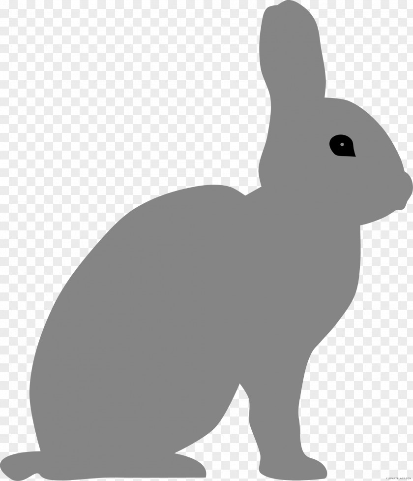 Rabbit Domestic Hare Clip Art Vector Graphics PNG