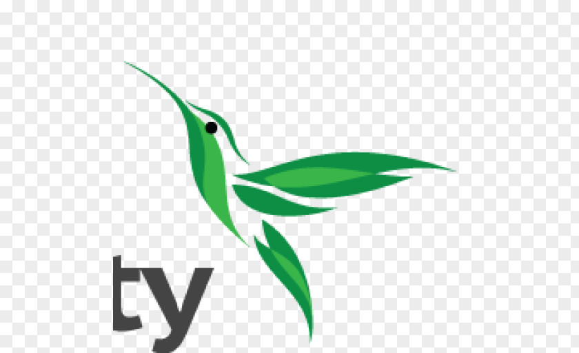 Aesthetics Logo Colibri Beauty Definition PNG