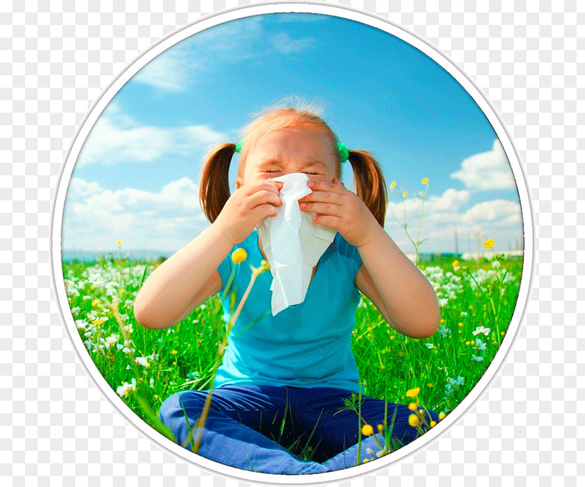 Air Medical Services Hay Fever Allergy Rhinorrhea Symptom Asthma PNG