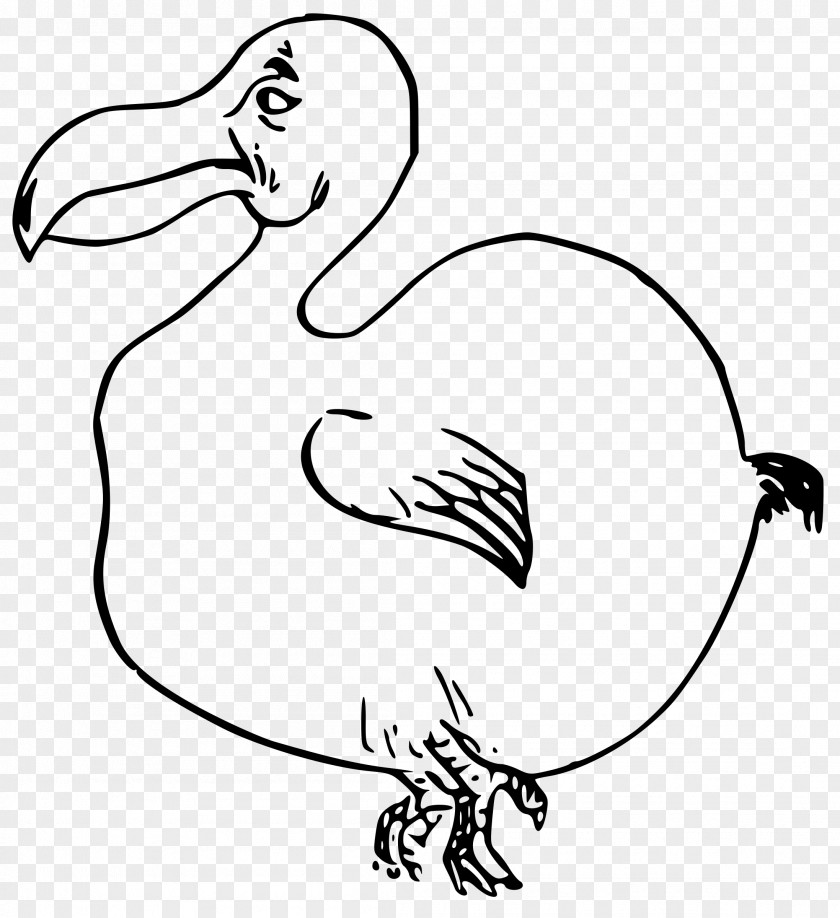 Bird Dodo Clip Art PNG