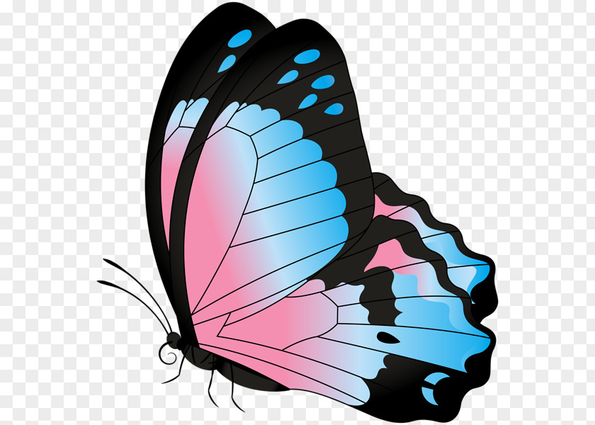 Butterfly Monarch Clip Art PNG