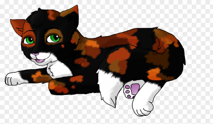 Cat Whiskers Tigerstar PNG