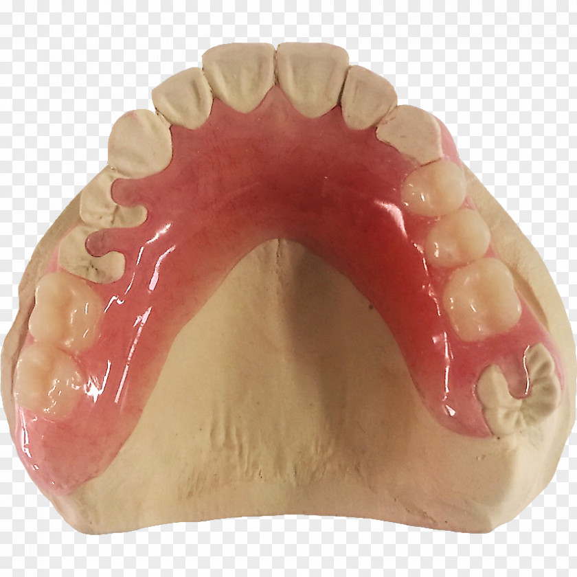 Dental Laboratory Human Tooth Dentures PNG