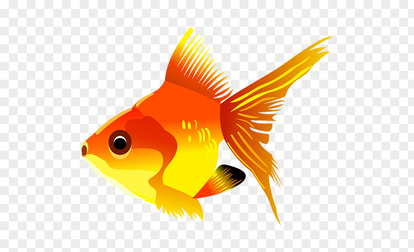 Fish Pet Goldfish Cartoon Clip Art PNG