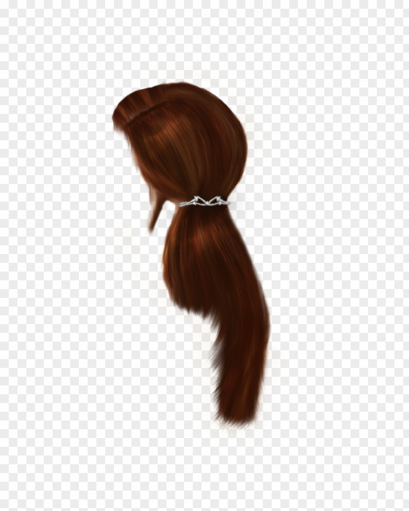Hair Hairstyle Wig Long Brown PNG