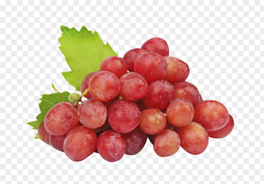 Juicy Grapes Common Grape Vine Concord Sultana Wine PNG