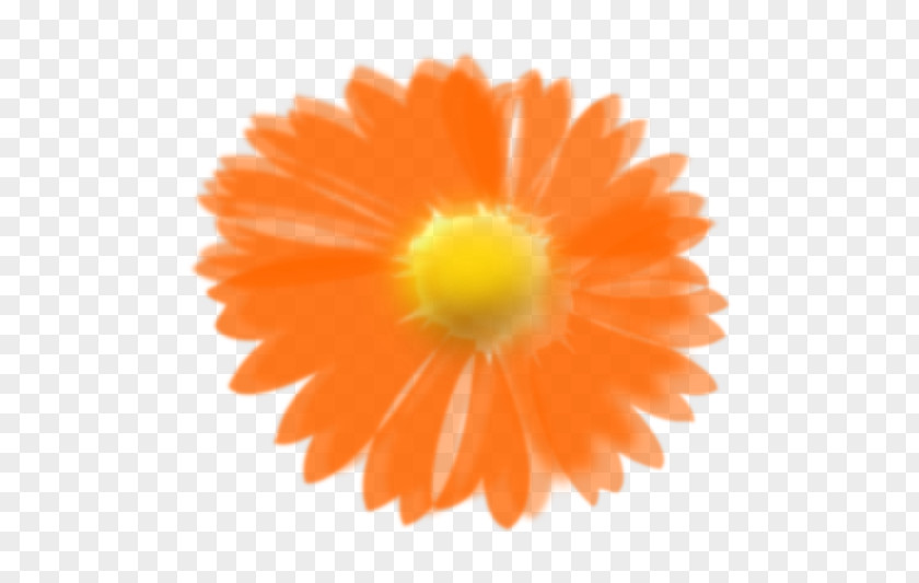 Orange Flower Clip Art PNG