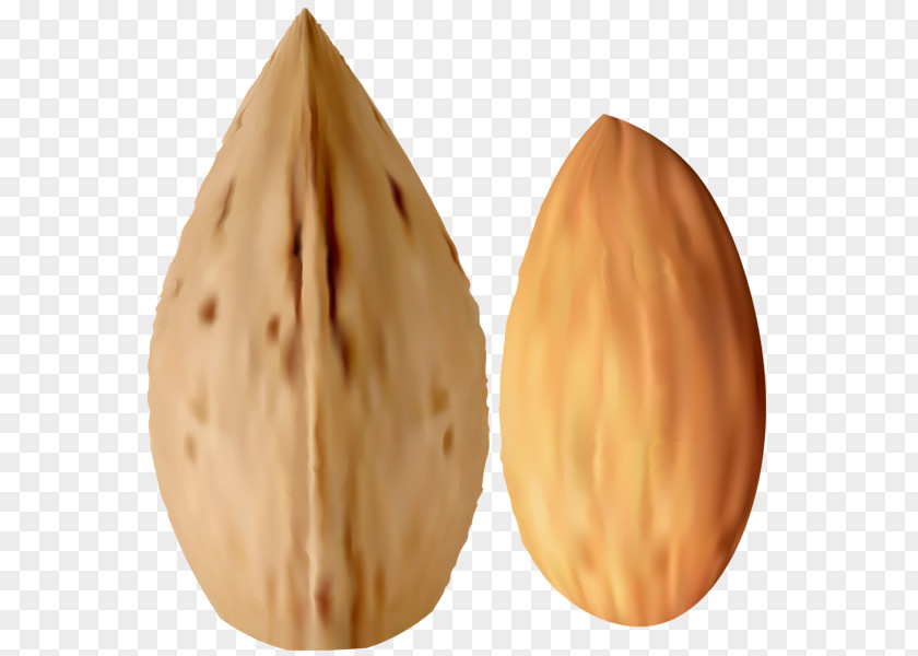 Pistachios Nut Almond Clip Art PNG