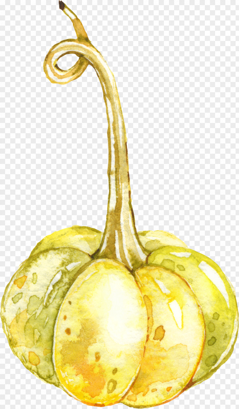 Pumpkin Auglis Fruit Cartoon PNG