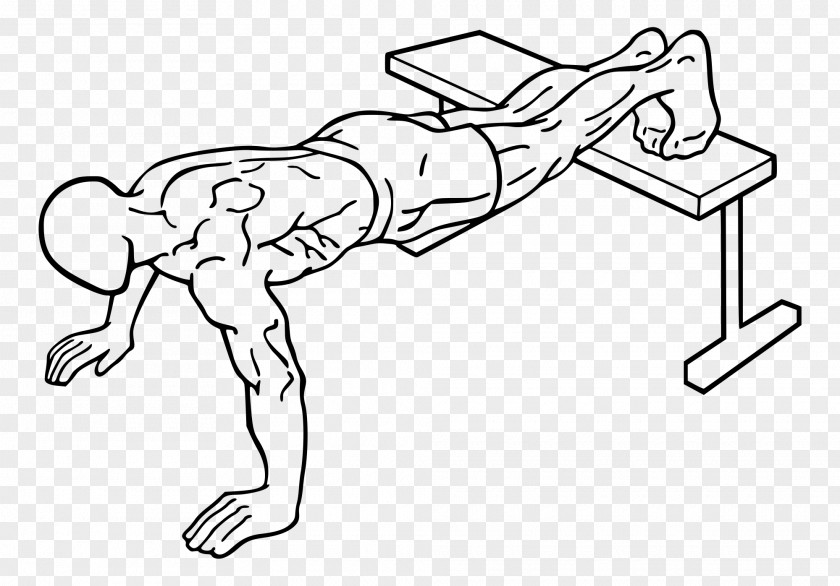 Bench Physical Exercise Push-up Bodyweight Strength Training Balls PNG