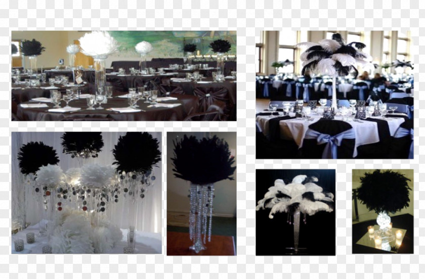 Events Decoration Black And White Light Feather PNG