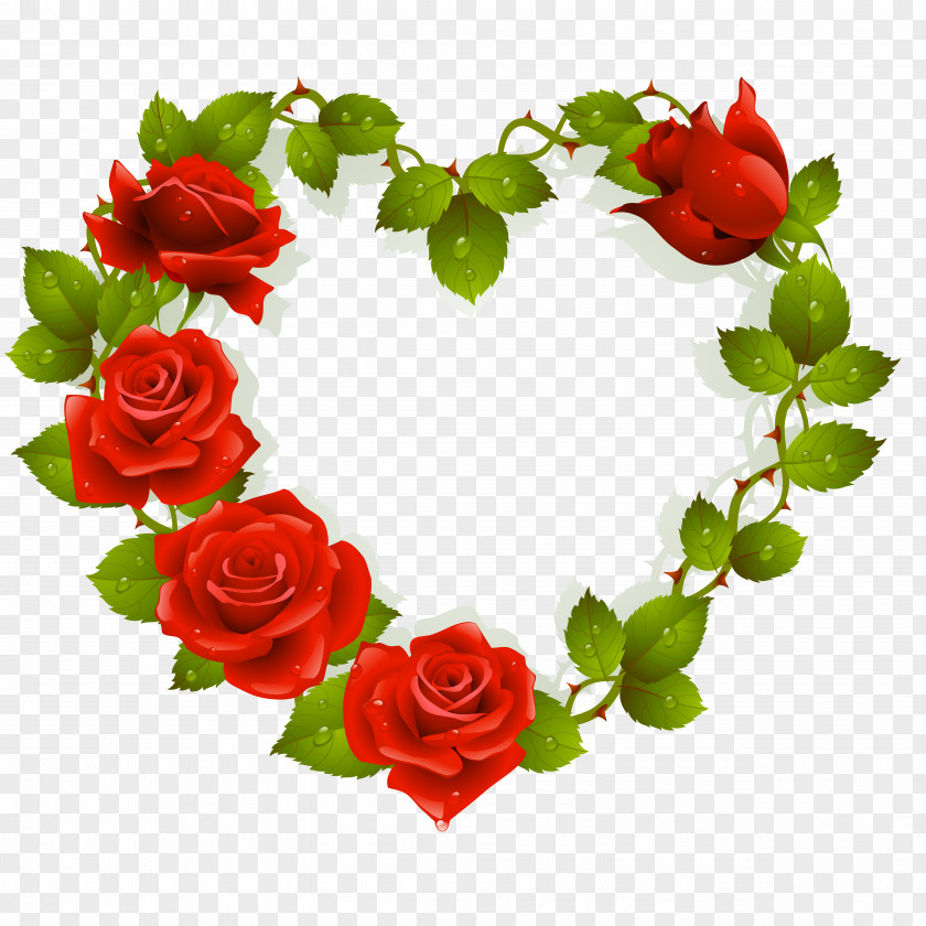 Fuchsia Frame Rose Download Flower Clip Art PNG