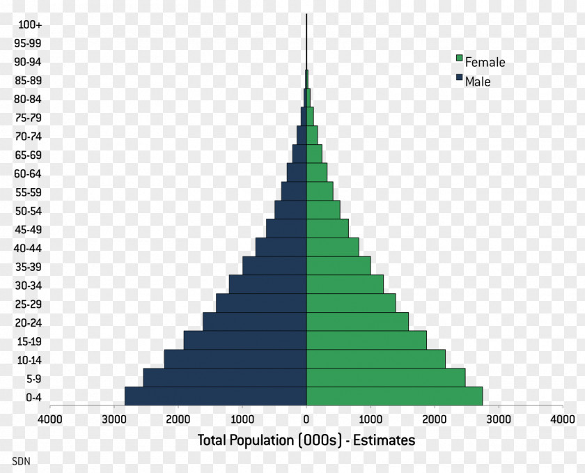 Full Year Population Pyramid South Sudan Rate Literacy PNG