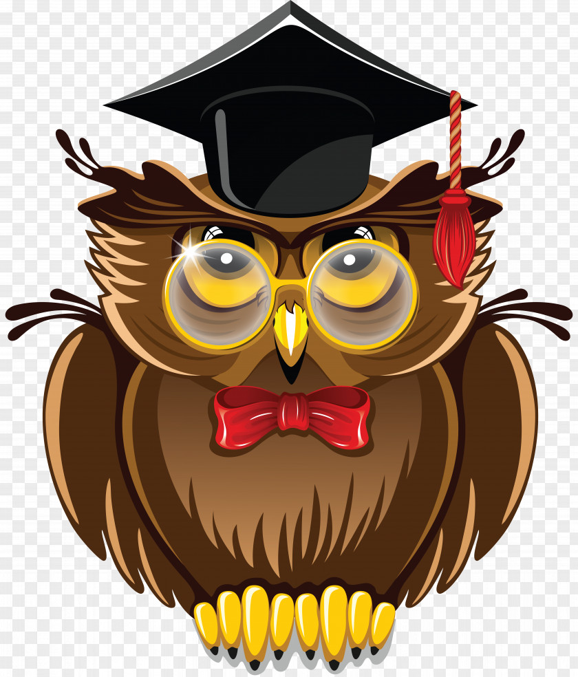 Owls Owl Clip Art Vector Graphics Image PNG