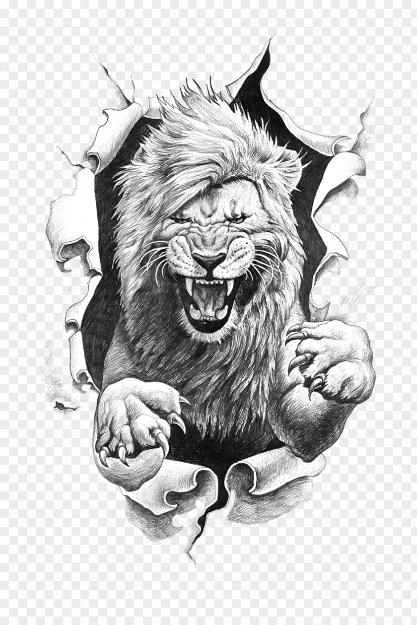 Roar Lion Drawing PNG