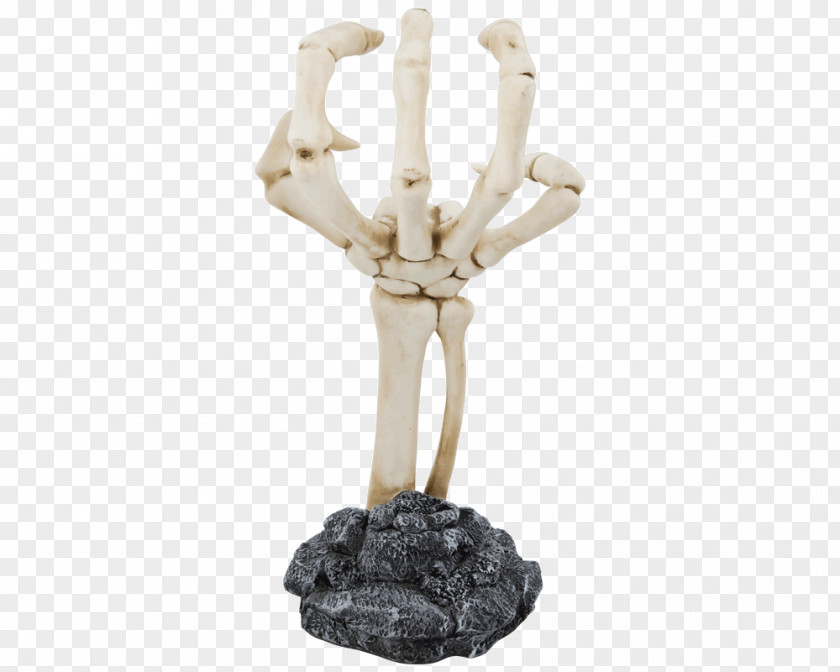 Skull Hand Human Skeleton Body Anatomy Pomade PNG