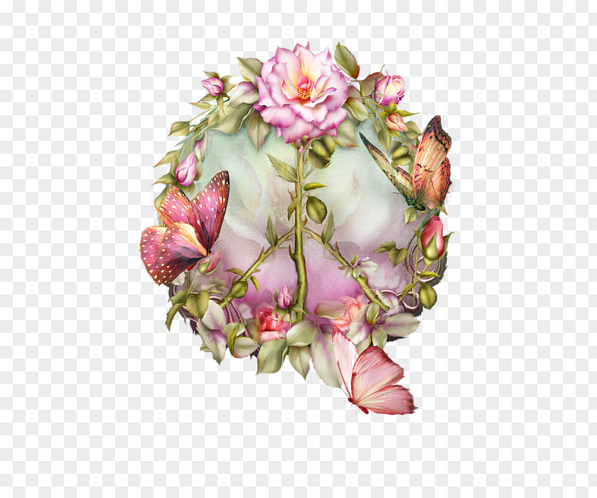 Clearance Sale 0 1 Garden Roses Cabbage Rose Cut Flowers Floral Design PNG