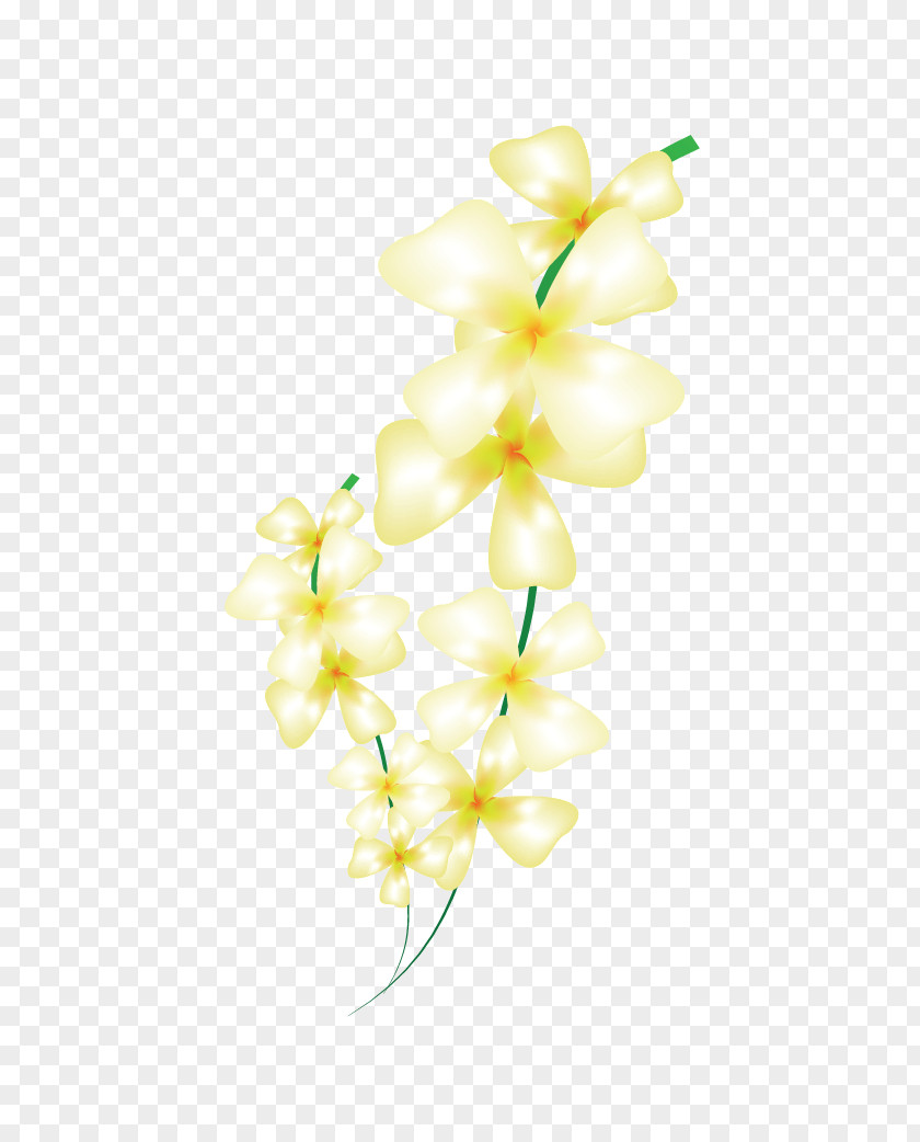 Flower Floral Design Cut Flowers Bouquet Moth Orchids PNG