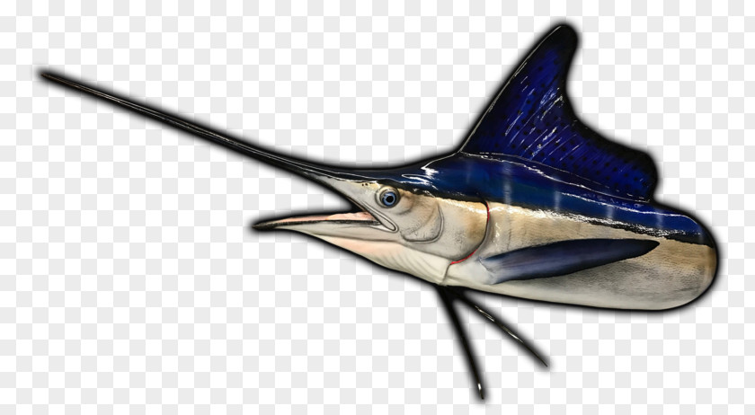 Marlin Fish Swordfish Fishing White Atlantic Blue PNG