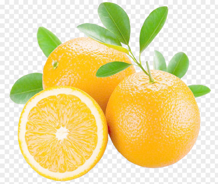 Orange Juice Mandarin Grapefruit Bitter PNG