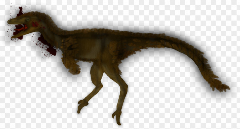 Popular Indie Velociraptor Tyrannosaurus Dinosaur Terrestrial Animal Organism PNG