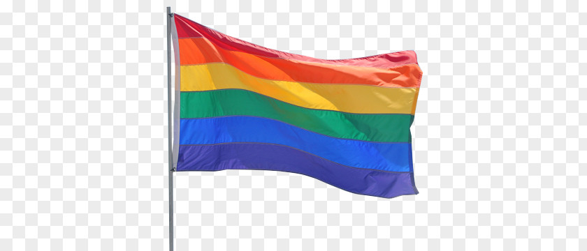 Rainbow Flag Istanbul Pride Gay LGBT PNG flag pride LGBT, clipart PNG