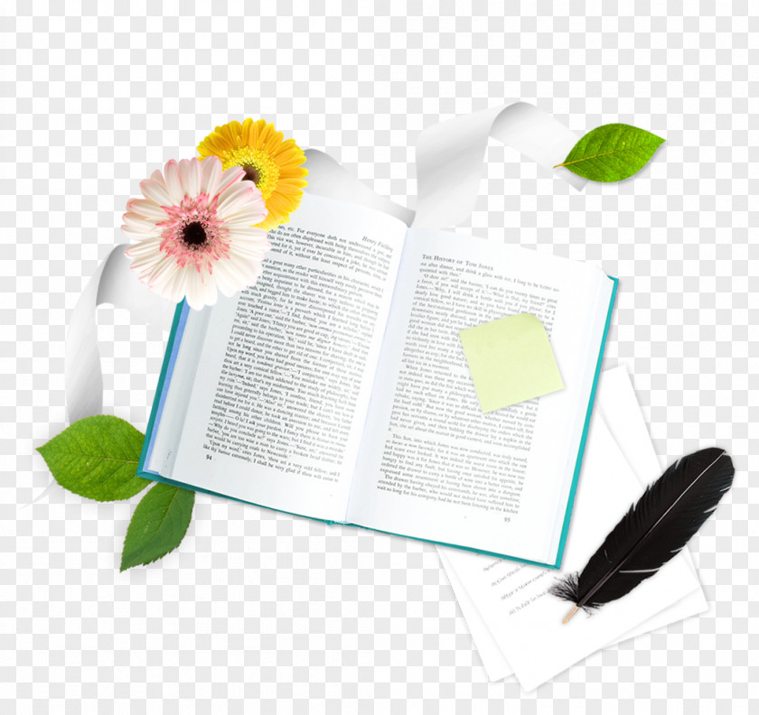 Book Feather PNG