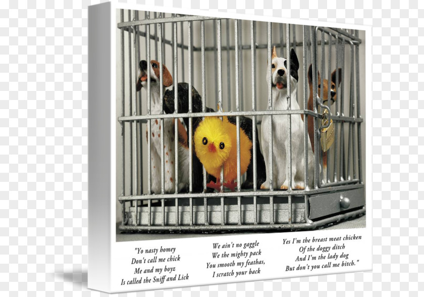 Dog Crate Animal Shelter Kennel Cage PNG