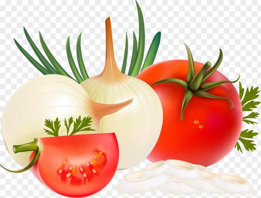 Onion Vegetable Tomato Food Chutney PNG