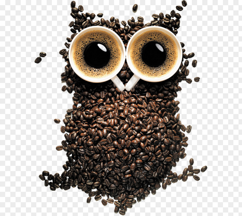 Coffe Been Black-and-white Owl Desktop Wallpaper Barn PNG