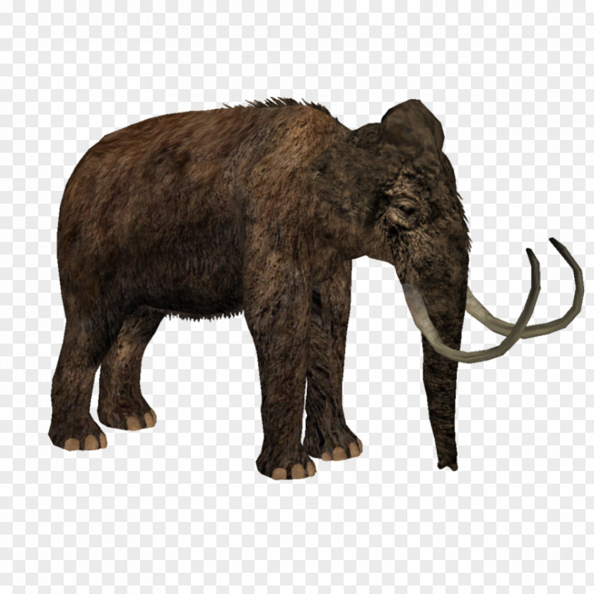 Forest Animal Woolly Mammoth Zoo Tycoon 2: Marine Mania Steppe African Bush Elephant Asian PNG
