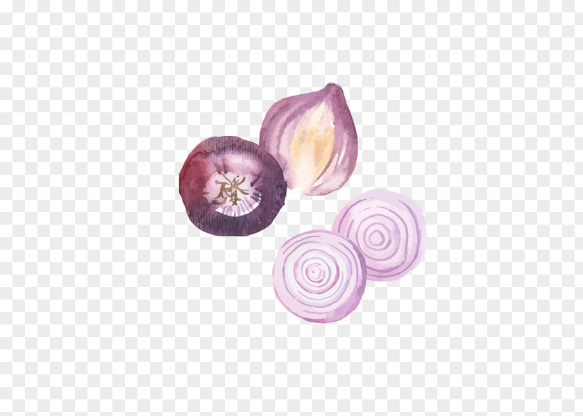 Hand-painted Purple Onion Watercolor Painting Food PNG