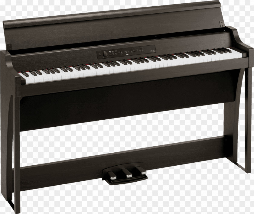 Keyboard Digital Piano Action Korg PNG
