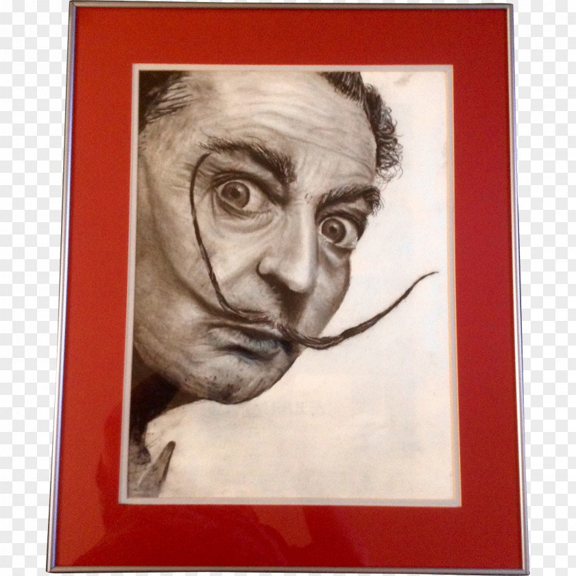 Moustache Dali's Mustache Drawing Painting Artist PNG