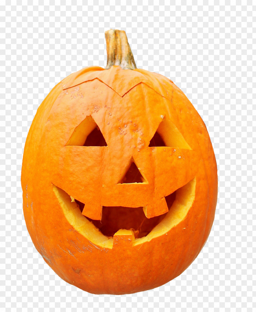 Pumpkin Jack-o'-lantern Halloween Carving Cucurbita Maxima PNG
