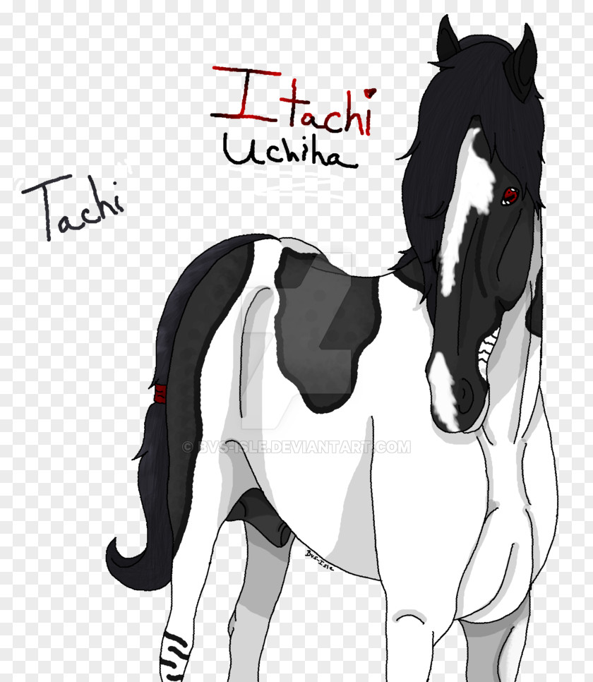 Uchiha Clan Mustang Bridle Stallion Horse Harnesses Mane PNG