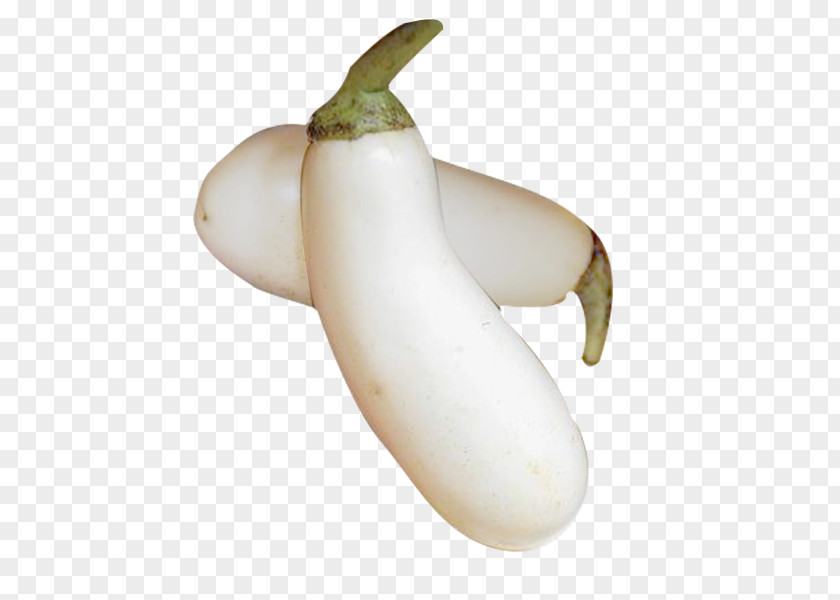 Vegetable Fruit PNG